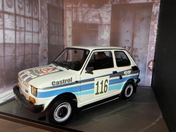 Zdjęcie WhatsApp 2025-09-10 o 14.59.44_eab4e4e5