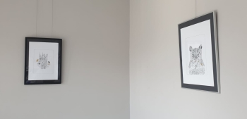 WhatsApp Image 2025-10-20 at 12.41.14 13.jpeg