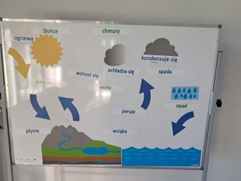 WhatsApp Image 2025-10-20 at 19.21.21.jpeg