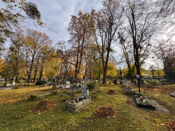 WhatsApp Image 2025-10-29 at 10.15.327.jpeg