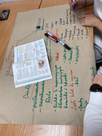 WhatsApp Image 2025-12-09 at 16.42.42.jpeg