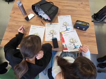 WhatsApp Image 2025-12-18 at 13.53.10456.jpeg